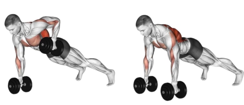 Các bài tập ngực dưới tại nhà hiệu quả tốt nhất cho người mới 13 Bài tập Dumbbell Front Raise