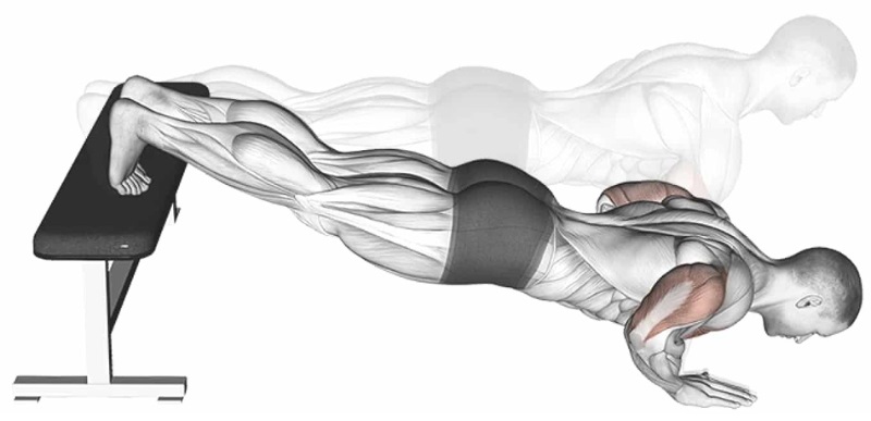 Các bài tập ngực dưới tại nhà hiệu quả tốt nhất cho người mới 3 Bài tập Decline Push Up