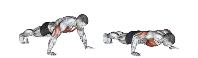Các bài tập ngực dưới tại nhà hiệu quả tốt nhất cho người mới 5 Bài tập Wide Push Up
