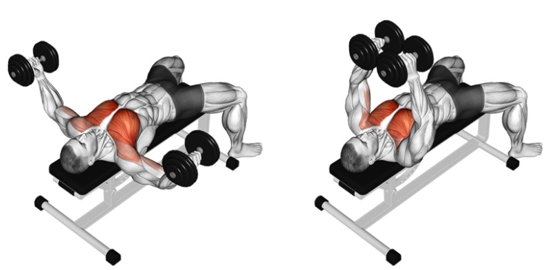 Các bài tập ngực dưới tại nhà hiệu quả tốt nhất cho người mới 9 Bài tập bài tập Dumbbell Chest Fly