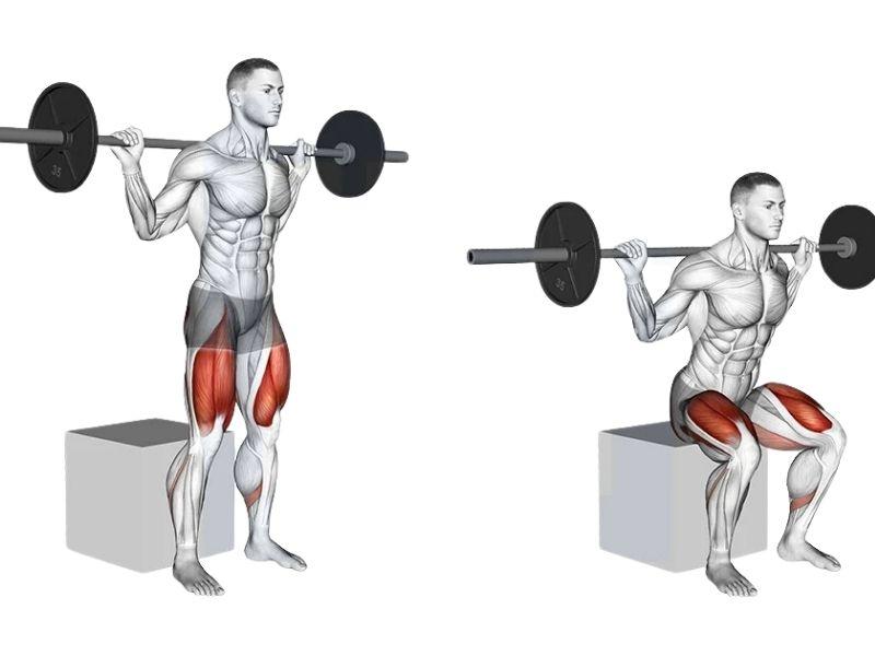 Hướng dẫn bài tập gánh tạ đòn đúng cách, hiệu quả cho Gymer 4 Bài tập Box squat