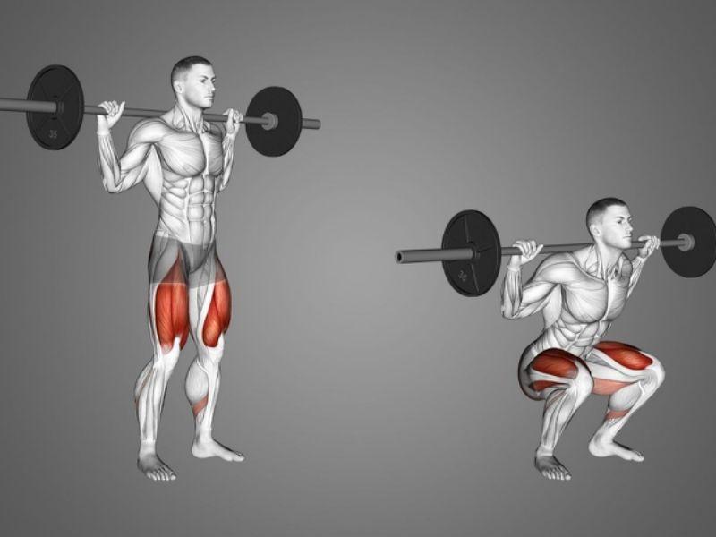 Hướng dẫn bài tập gánh tạ đòn đúng cách, hiệu quả cho Gymer 2 Bài tập squat gánh tạ đòn