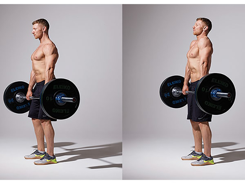 Nhún vai với tạ đòn - Barbell Shrug