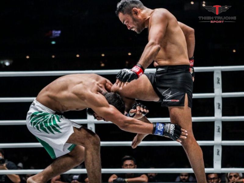Hướng dẫn bài tập kickboxing tại nhà đơn giản, hiệu quả 5 Bài tập Knee Strikes