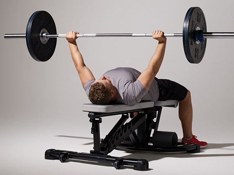 Đẩy tạ đòn trên ghế - Barbell Bench Press