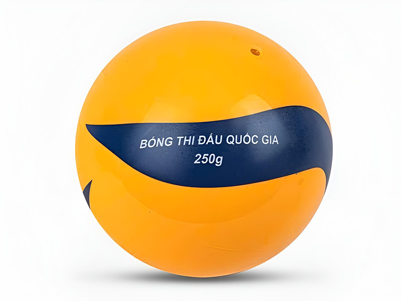 Quả bóng chuyền hơi hoa xoáy DL250 4 Bóng chuyền hơi hoa xoáy DL250