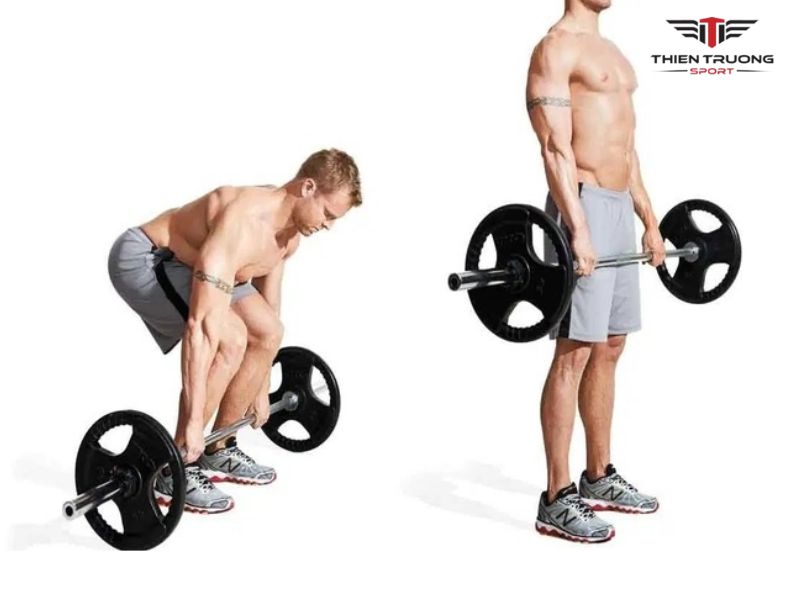 Top 6 bài tập thể lực trong bóng rổ hiệu quả nhất 4 Luyện tập sức bền với tạ