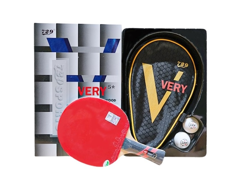 Top 10 các loại vợt bóng bàn đáng mua nhất 2025 14 các loại vợt bóng bàn