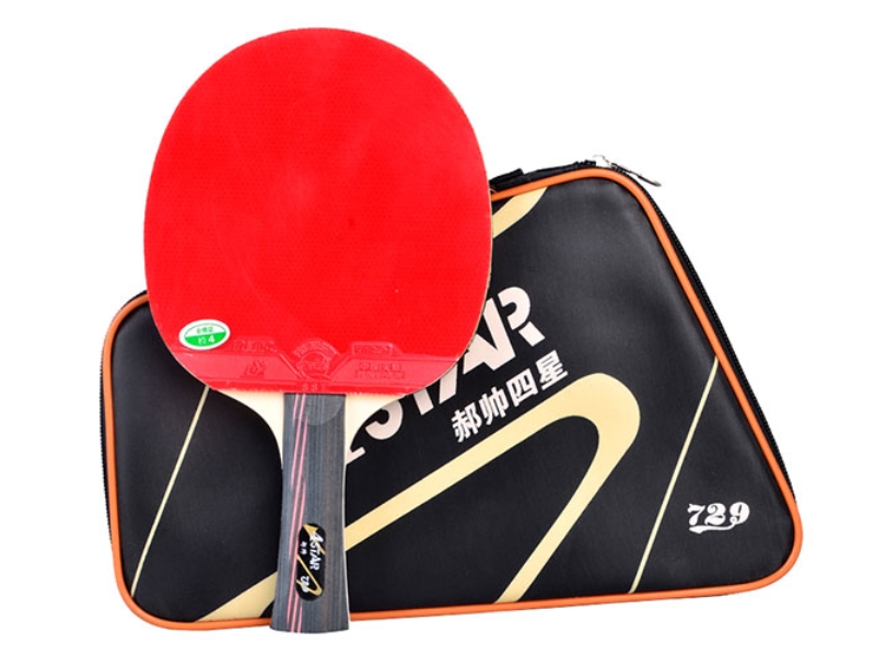 Top 10 các loại vợt bóng bàn đáng mua nhất 2025 15 các loại vợt bóng bàn