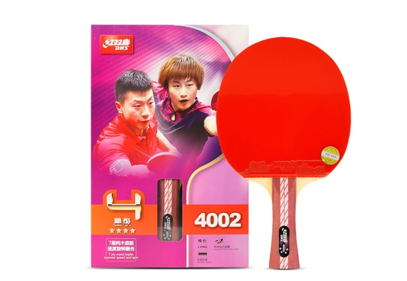 Top 10 các loại vợt bóng bàn đáng mua nhất 2025 6 các loại vợt bóng bàn