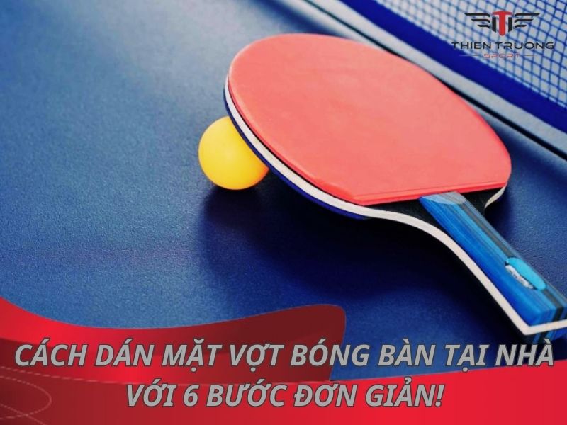 Cách dán mặt vợt bóng bàn tại nhà với 6 bước đơn giản 24 Cách dán mặt vợt bóng bàn