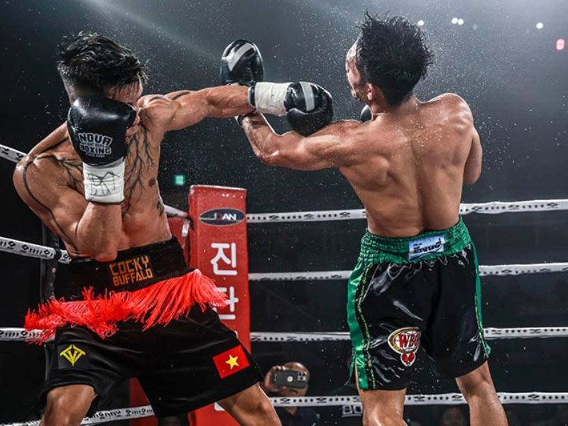 Thi đấu boxing