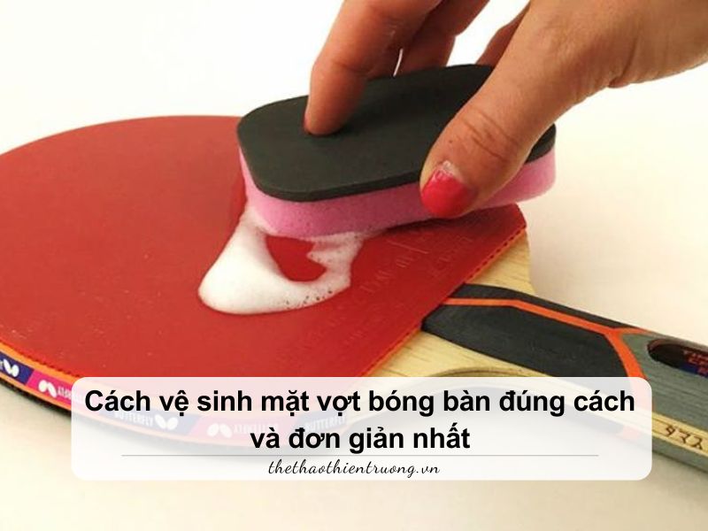 Cách vệ sinh mặt vợt bóng bàn đúng cách và đơn giản nhất 9 cách vệ sinh mặt vợt bóng bàn