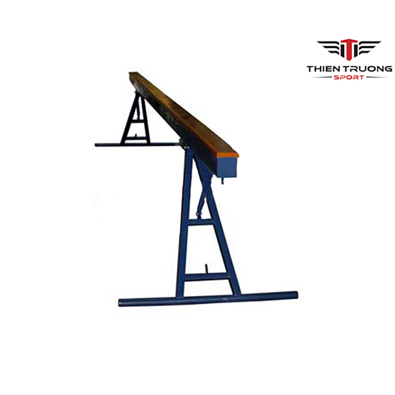 Cầu thăng bằng CTB01 2 Hình ảnh cầu thăng bằng CTB01