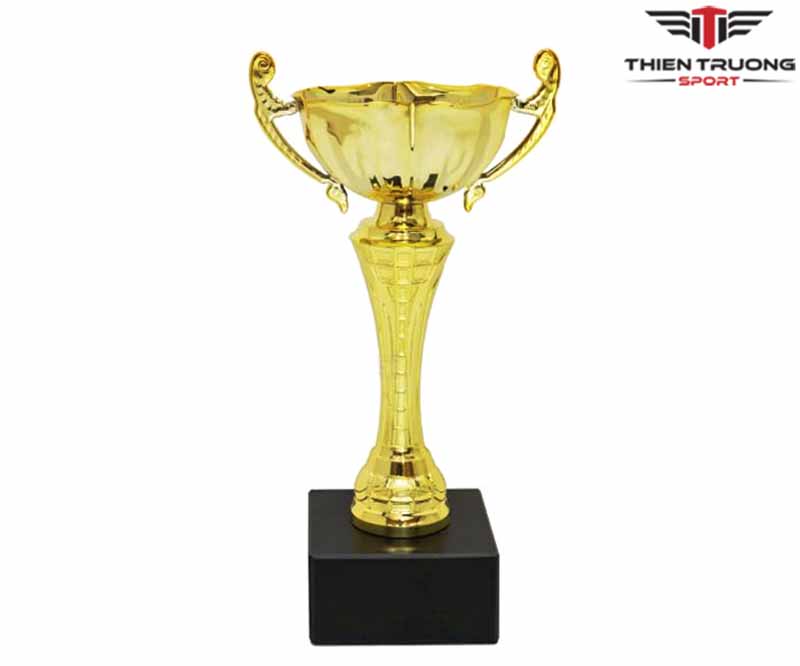 Hình ảnh cúp thể thao MLG0020
