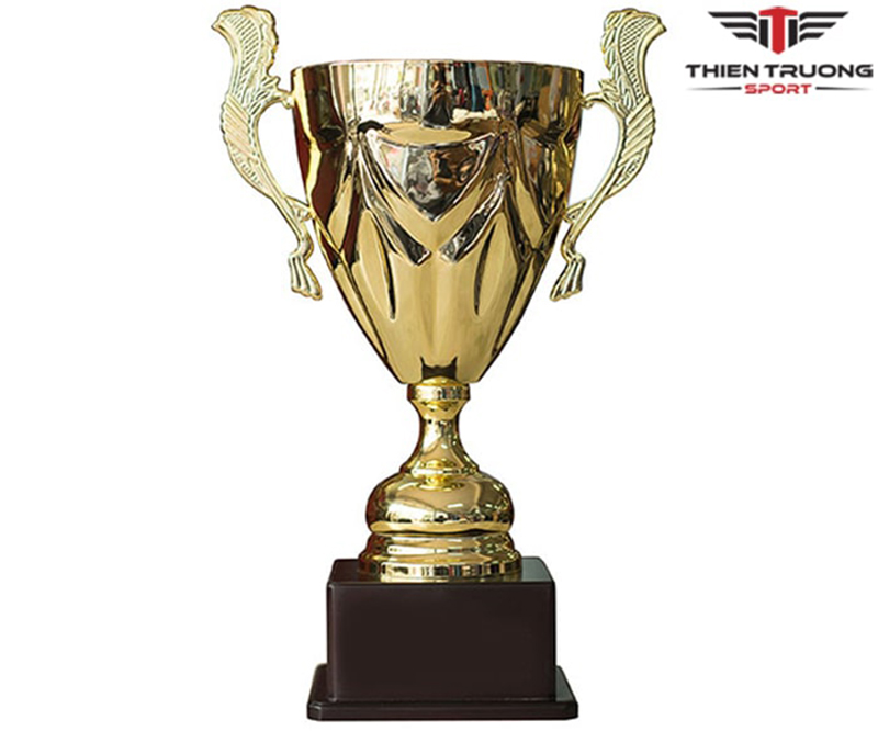 Hình ảnh cúp thể thao 9V0110