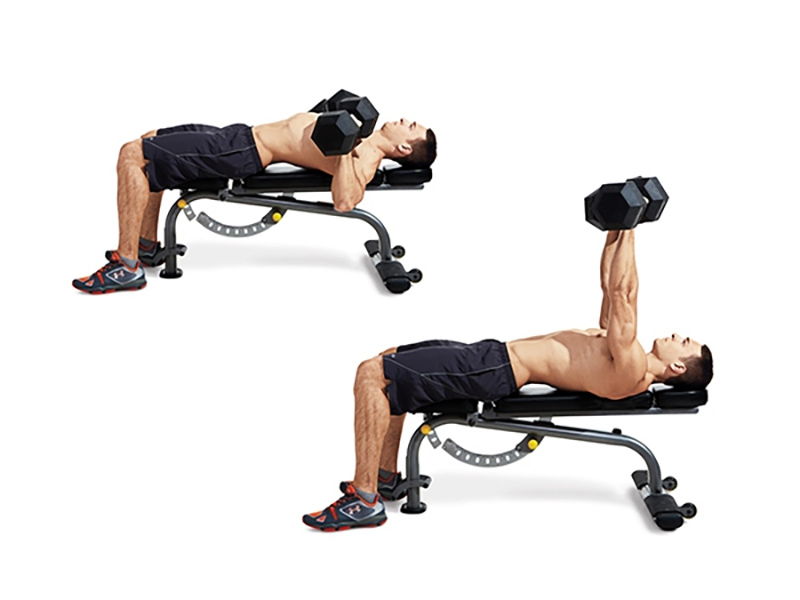 Đẩy tạ tay - Dumbbell Bench Press