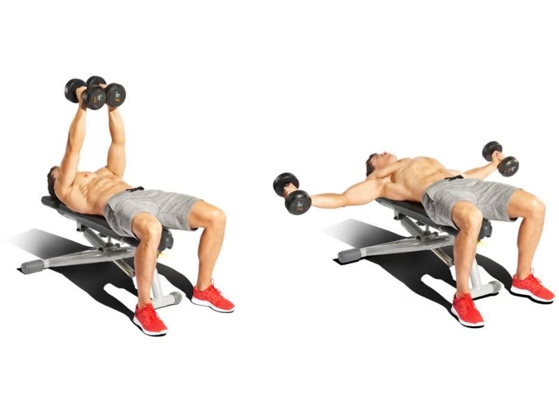 Dumbbell fly là gì? Cách tập giúp phát triển ngực tốt cho Gymer 3 Dumbbell Fly mang lại nhiều lợi ích nổi bật, đặc biệt đối với việc phát triển cơ ngực