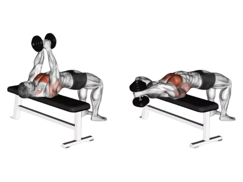Dumbbell Pullover là gì? Tập vớt tạ phát triển vòng 1 tốt Nhất? 3 Hướng dẫn tập bài tập Dumbbell Pullover