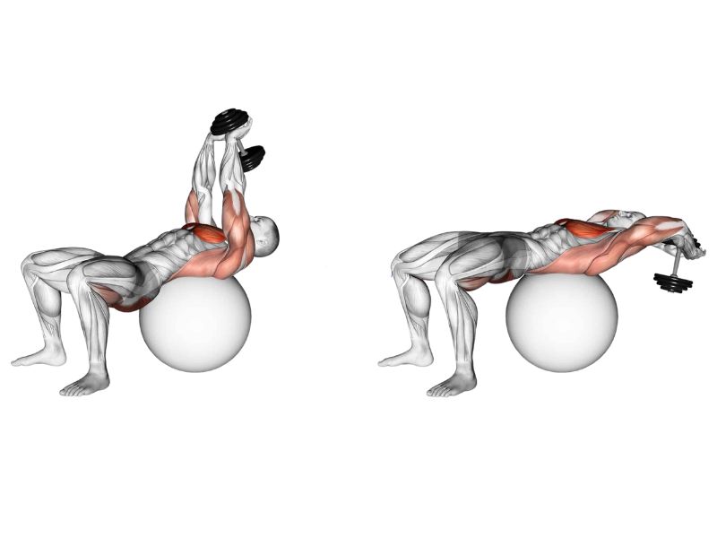 Dumbbell Pullover là gì? Tập vớt tạ phát triển vòng 1 tốt Nhất? 6 Thử các biến thể phù hợp của Dumbbell Pullover