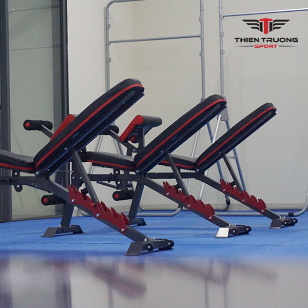 Ghế tập Gym đa năng DDS 1205