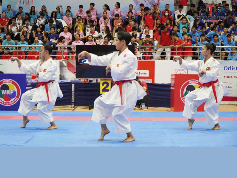giải đấu võ thuật Việt Nam