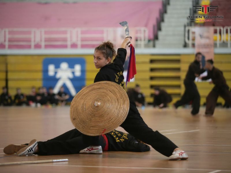 giải đấu võ thuật Việt Nam