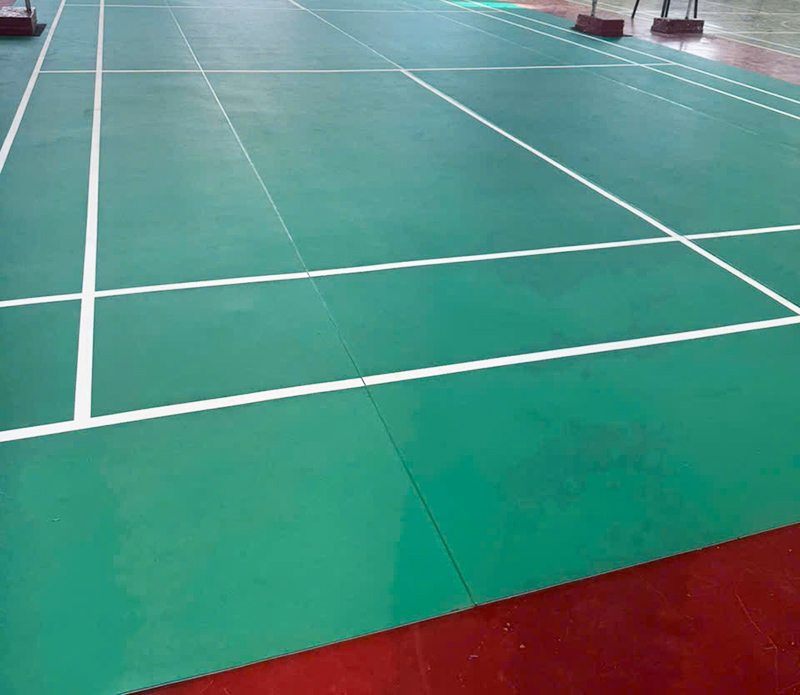 hinh anh tham san cau long