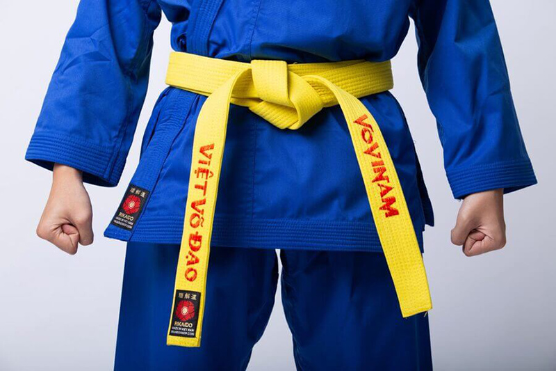 Vovinam là gì? Những điều thú vị về võ Vovinam bạn chưa biết 6 Hoàng đai trong võ Vovinam