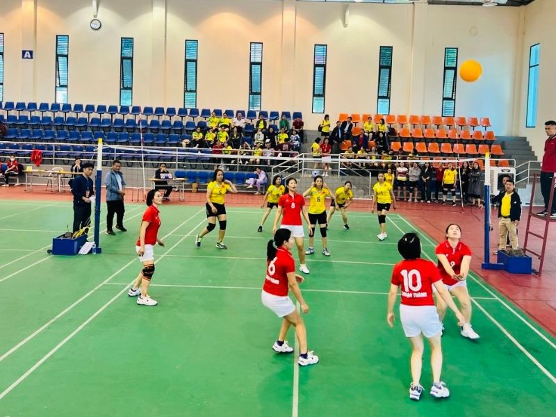 Thi đấu bóng chuyền hơi