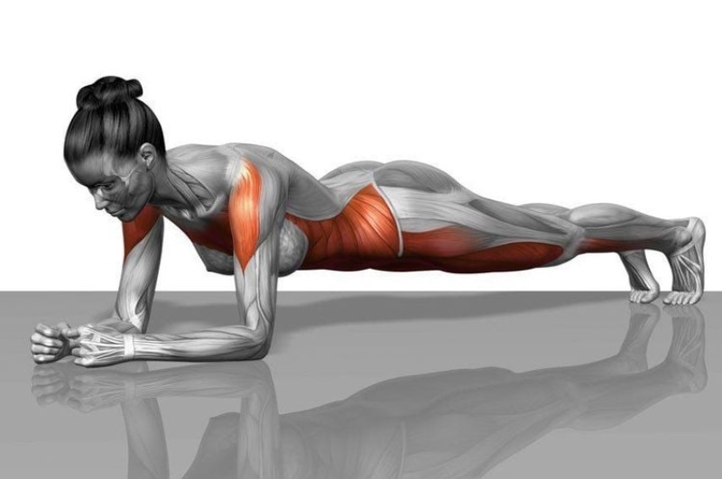 lịch tập Plank 30 ngày