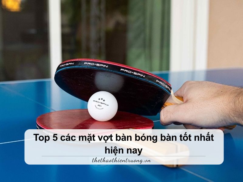 Top 5 các mặt vợt bàn bóng bàn tốt nhất hiện nay 7 Mặt vợt bóng bàn