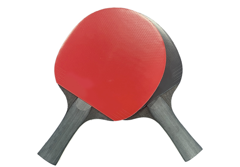 Top 5 các mặt vợt bàn bóng bàn tốt nhất hiện nay 4 Mặt vợt bóng bàn cứng