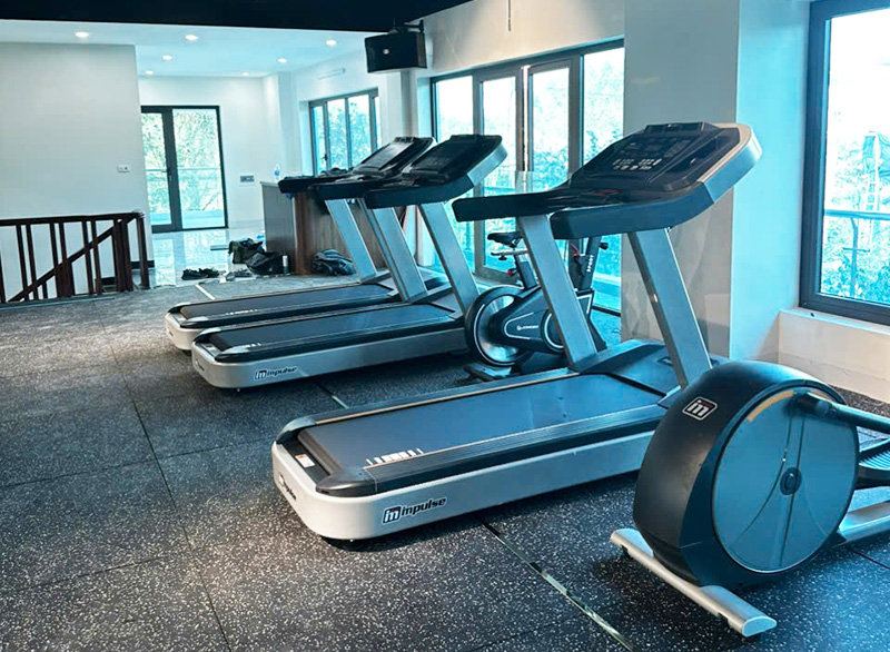 Máy chạy bộ Impulse PT300H
