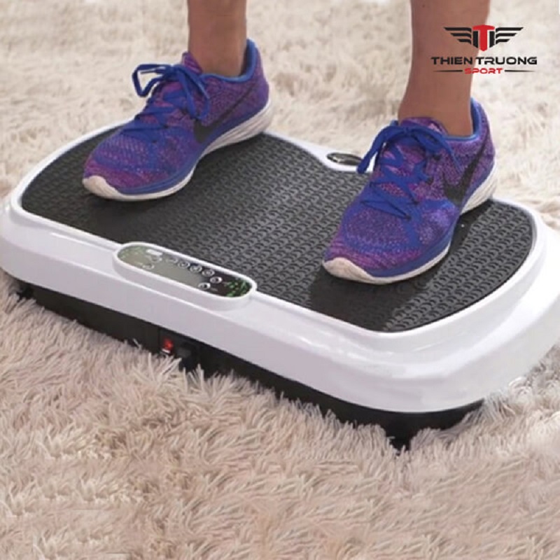 Máy rung toàn thân TS-21927 20 máy rung toàn thân TS-21927