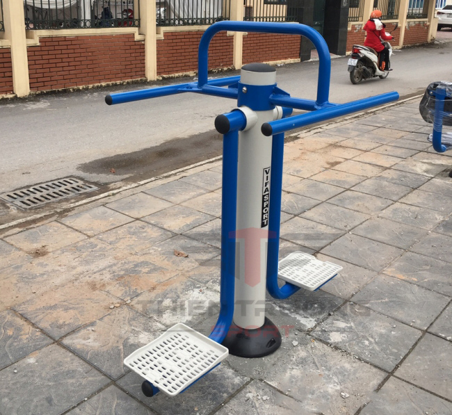 Máy tập lưng eo VIFA711322