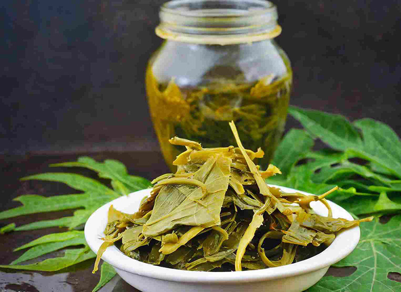 Uống nước lá đu đủ có tác dụng gì