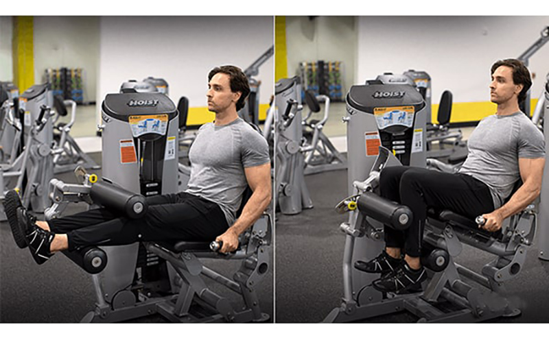 Ngồi tập chân - Seated Leg Curl