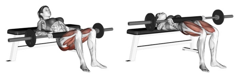 Phân biệt các nhóm cơ trên cơ thể để tập luyện hiệu quả 19 Bài tập Chân + Mông