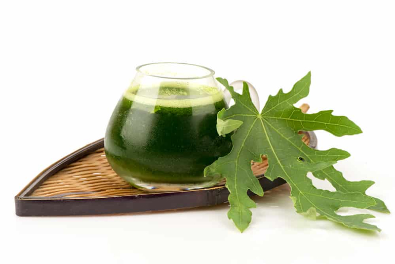 Uống nước lá đu đủ có tác dụng gì