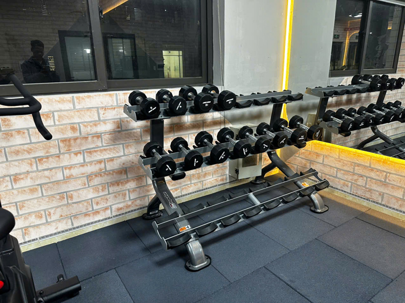 Tạ tay Iron Grip PT1110
