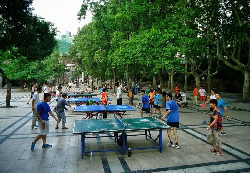 Chơi bóng bàn ở sân ngoài trời