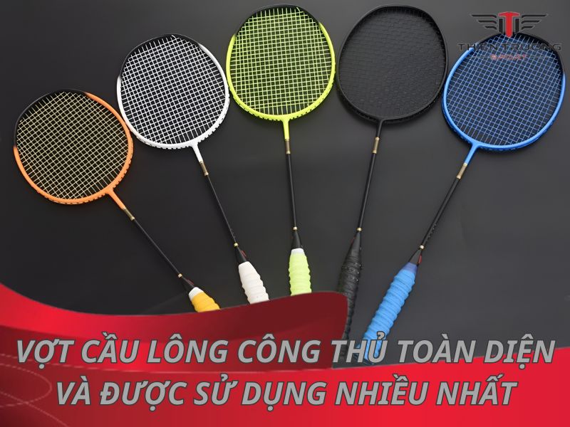 10 vợt cầu lông công thủ toàn diện và được sử dụng nhiều nhất 19 vợt cầu lông công thủ toàn diện
