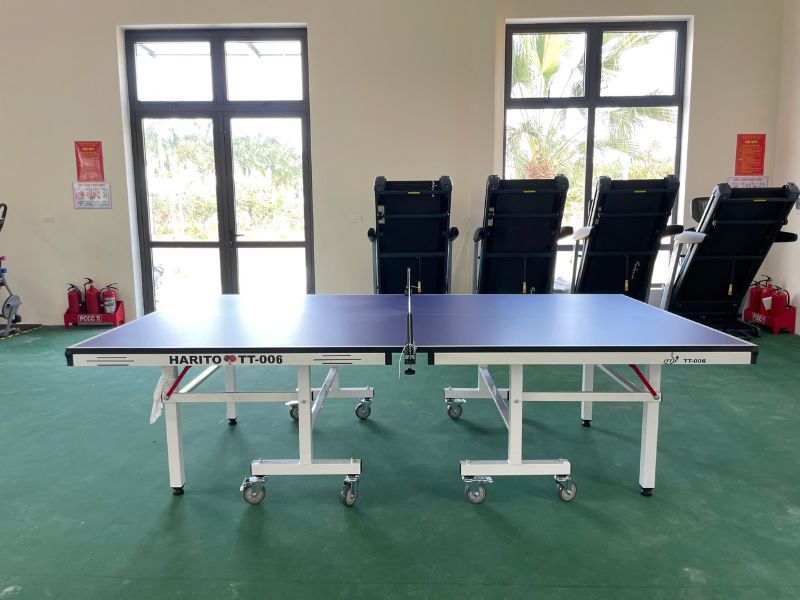 Bàn bóng bàn là gì? Hướng dẫn cách chọn bàn bóng bàn phù hợp 11 Bàn bóng bàn Harito TT-006