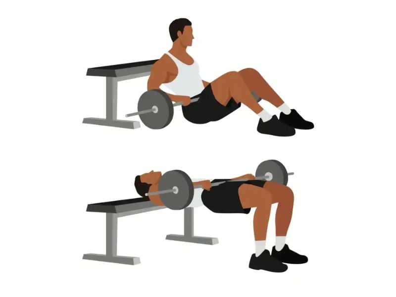 Bài tập Barbell Hip Thrust