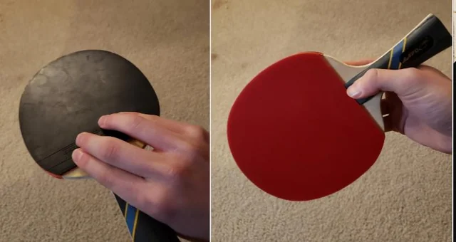 Reverse Penhold Grip