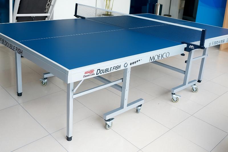 Bàn bóng bàn Double Fish 203M 
