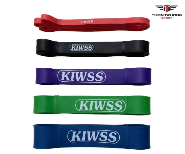 Hình ảnh dây kháng lực Kwiss