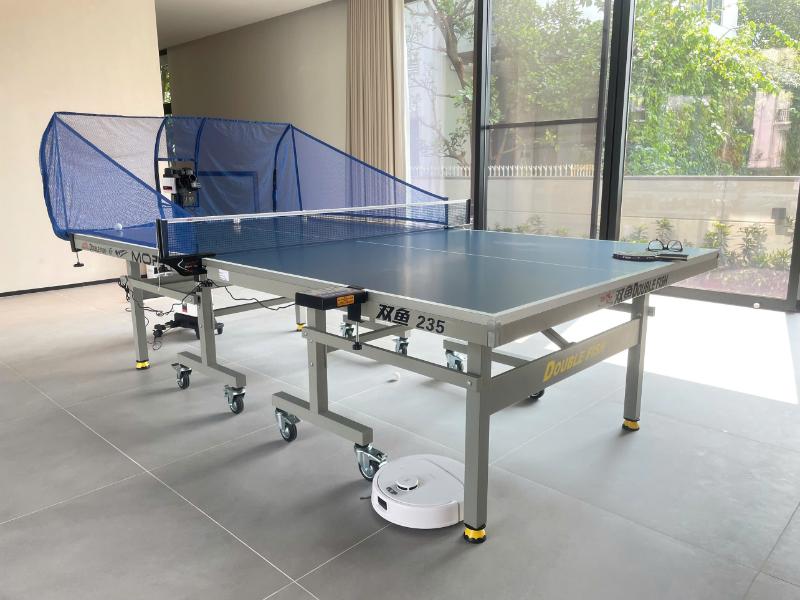 bàn bóng bàn Double Fish