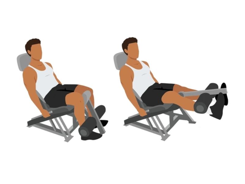 Bài tập Seated Leg Curl